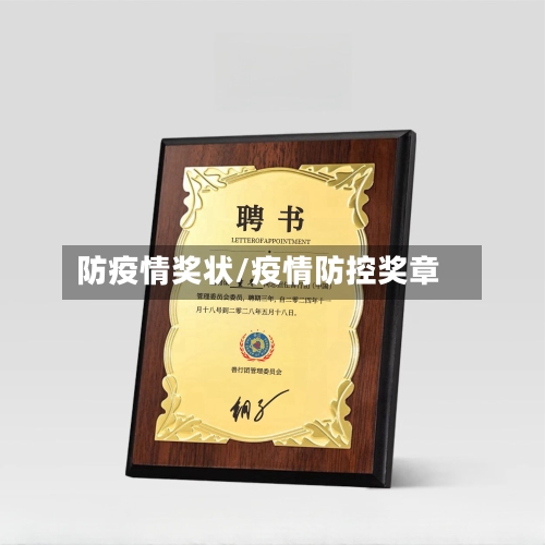 防疫情奖状/疫情防控奖章