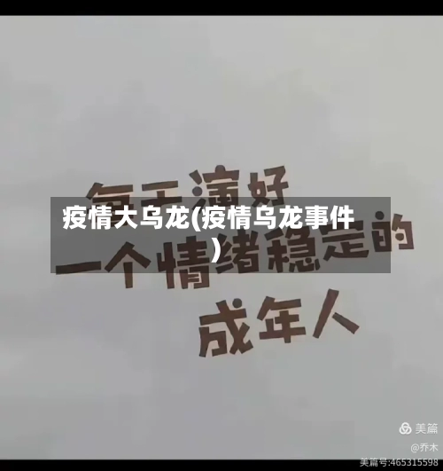 疫情大乌龙(疫情乌龙事件)