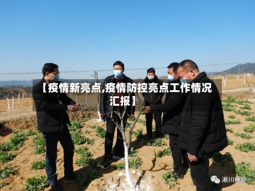 【疫情新亮点,疫情防控亮点工作情况汇报】