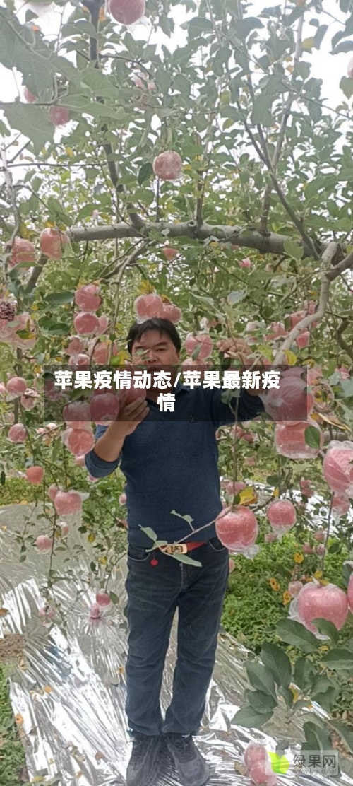 苹果疫情动态/苹果最新疫情-第1张图片