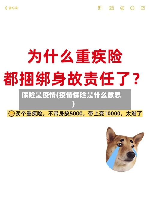 保险是疫情(疫情保险是什么意思)-第2张图片