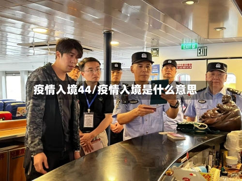 疫情入境44/疫情入境是什么意思