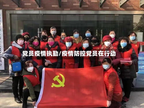 党员疫情执勤/疫情防控党员在行动