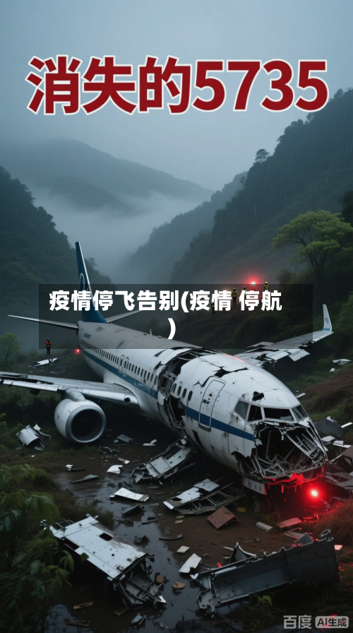 疫情停飞告别(疫情 停航)-第2张图片