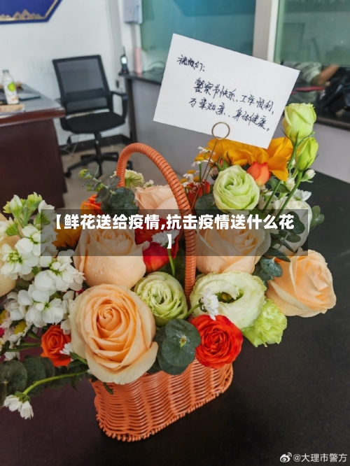 【鲜花送给疫情,抗击疫情送什么花】