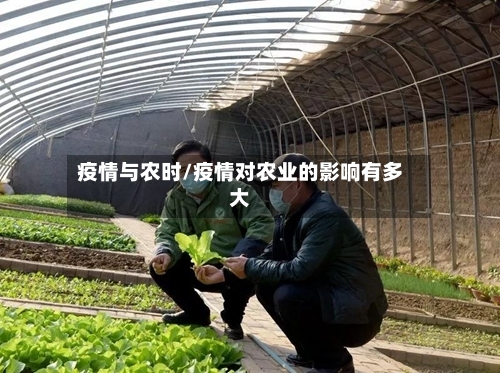 疫情与农时/疫情对农业的影响有多大