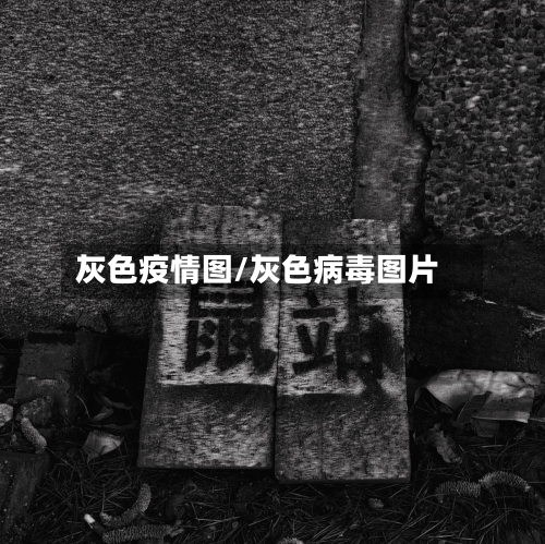 灰色疫情图/灰色病毒图片