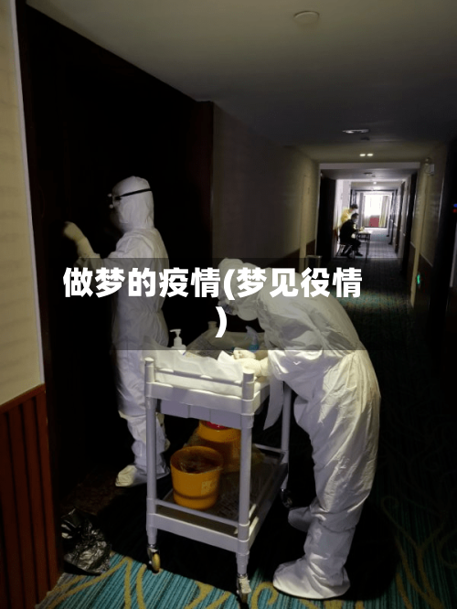 做梦的疫情(梦见役情)