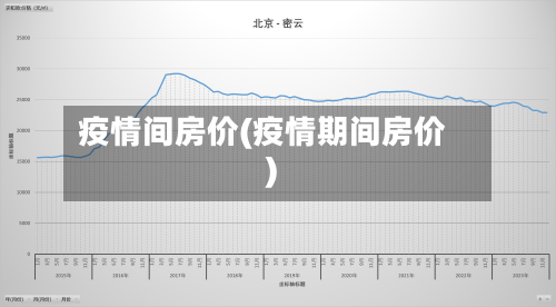 疫情间房价(疫情期间房价)