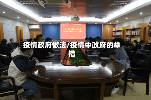 疫情政府做法/疫情中政府的举措