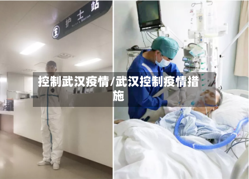 控制武汉疫情/武汉控制疫情措施
