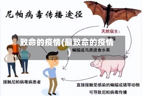 致命的疫情(最致命的疫情)