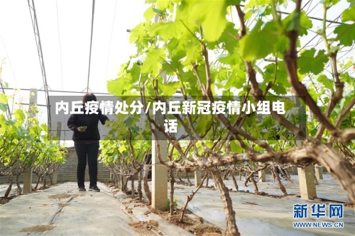 内丘疫情处分/内丘新冠疫情小组电话