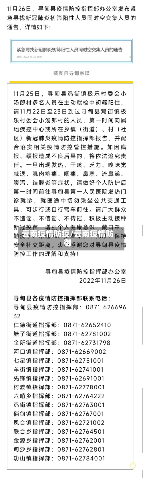 云南疫情防疫/云南疫情防御-第2张图片