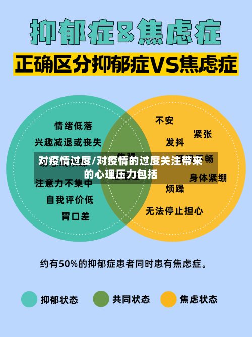 对疫情过度/对疫情的过度关注带来的心理压力包括