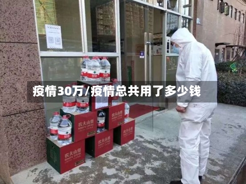 疫情30万/疫情总共用了多少钱