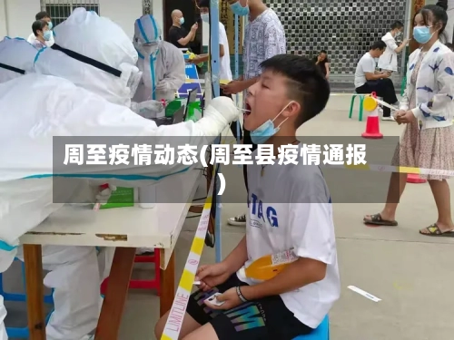 周至疫情动态(周至县疫情通报)