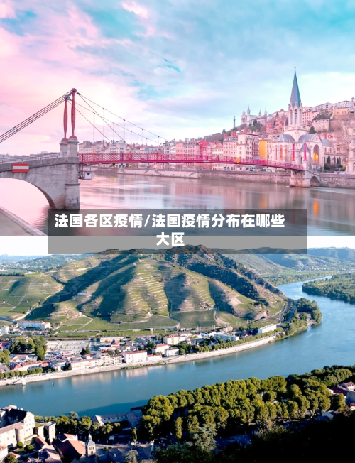 法国各区疫情/法国疫情分布在哪些大区