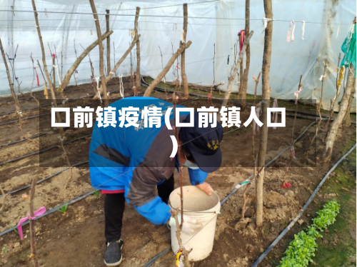 口前镇疫情(口前镇人口)