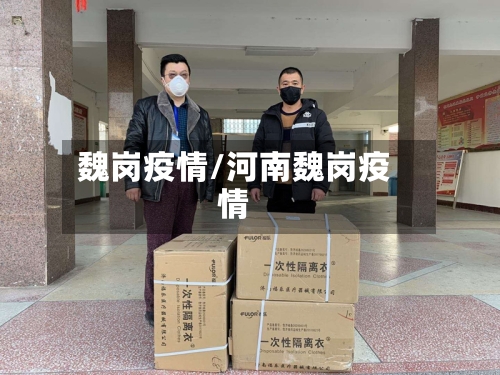 魏岗疫情/河南魏岗疫情