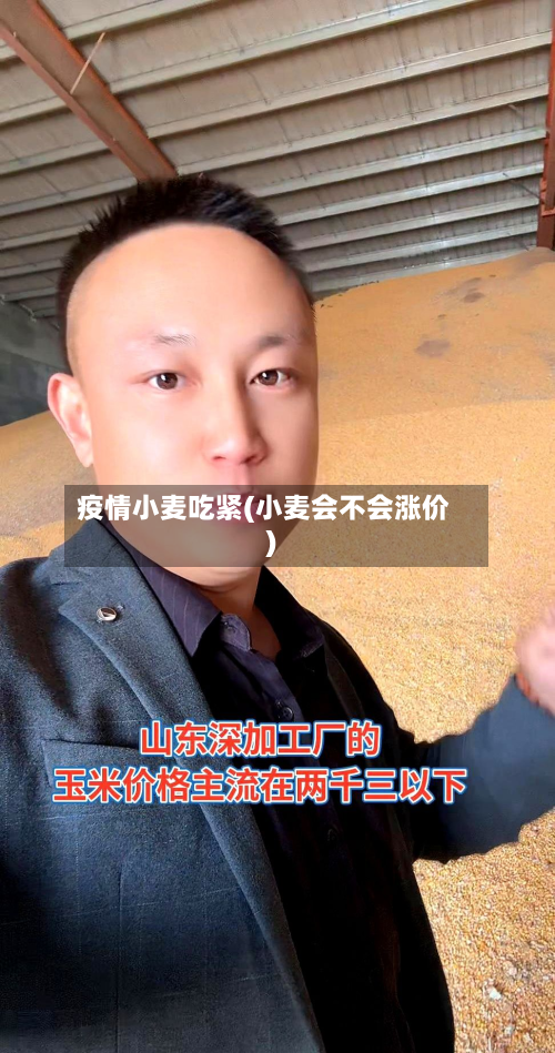 疫情小麦吃紧(小麦会不会涨价)