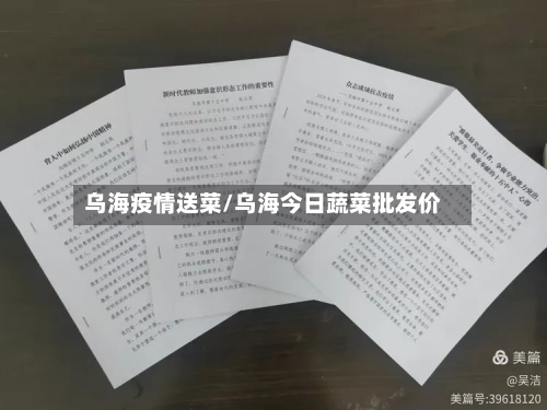 乌海疫情送菜/乌海今日蔬菜批发价