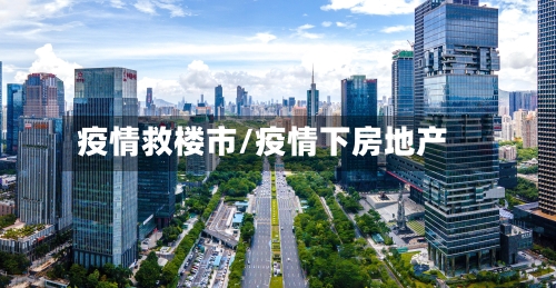 疫情救楼市/疫情下房地产