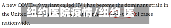 纽约医院疫情/纽约 医院-第2张图片
