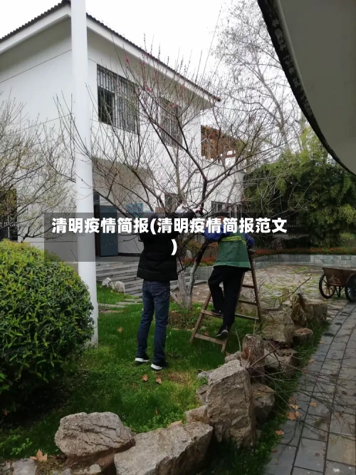 清明疫情简报(清明疫情简报范文)