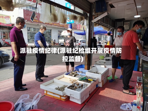 派驻疫情纪律(派驻纪检组开展疫情防控监督)