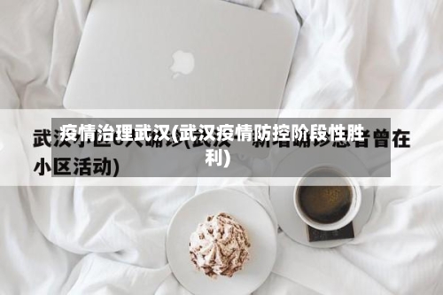疫情治理武汉(武汉疫情防控阶段性胜利)-第2张图片