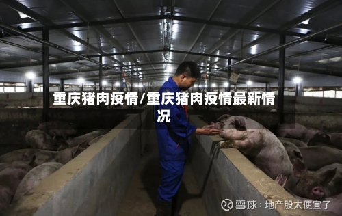 重庆猪肉疫情/重庆猪肉疫情最新情况