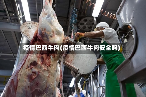 疫情巴西牛肉(疫情巴西牛肉安全吗)