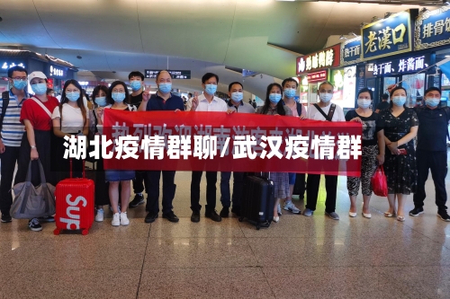 湖北疫情群聊/武汉疫情群