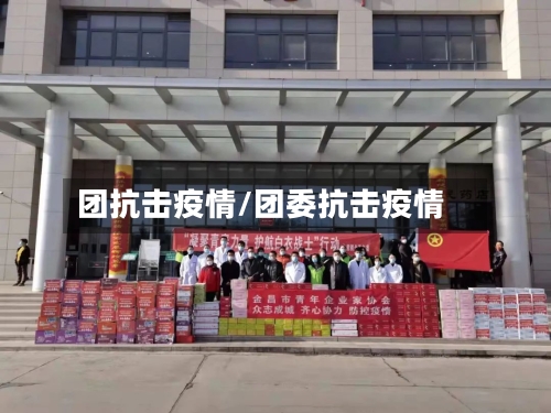 团抗击疫情/团委抗击疫情