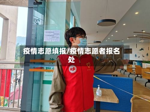 疫情志愿填报/疫情志愿者报名处