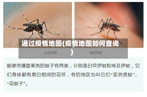 通过疫情地图(疫情地图如何查询)