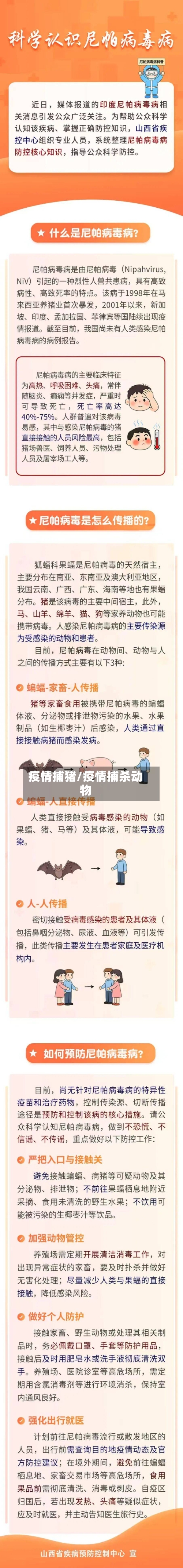 疫情捕猪/疫情捕杀动物-第2张图片