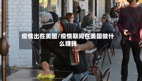疫情出在美国/疫情期间在美国做什么赚钱