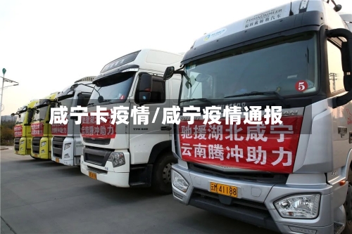咸宁卡疫情/咸宁疫情通报