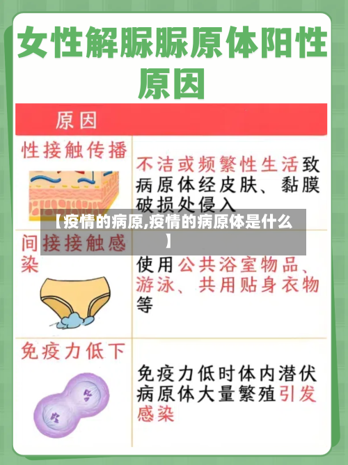 【疫情的病原,疫情的病原体是什么】