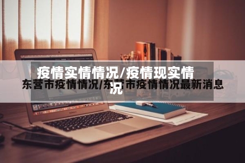疫情实情情况/疫情现实情况