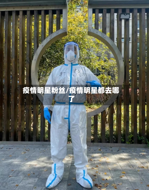 疫情明星粉丝/疫情明星都去哪了