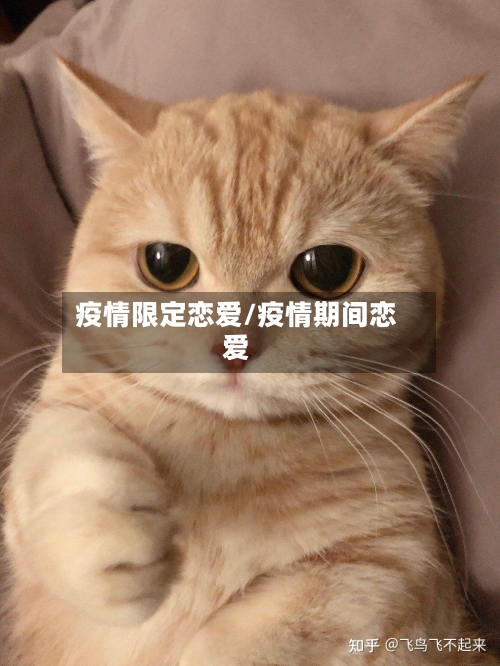 疫情限定恋爱/疫情期间恋爱