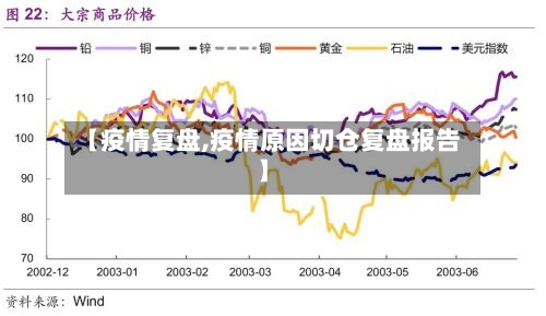 【疫情复盘,疫情原因切仓复盘报告】