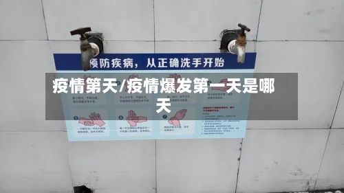 疫情第天/疫情爆发第一天是哪天