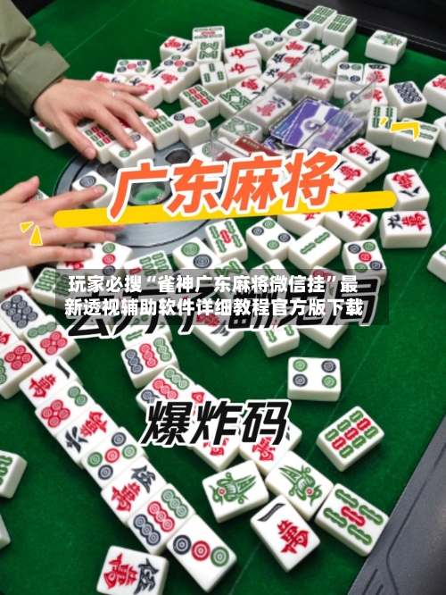 玩家必搜“雀神广东麻将微信挂	”最新透视辅助软件详细教程官方版下载-第2张图片