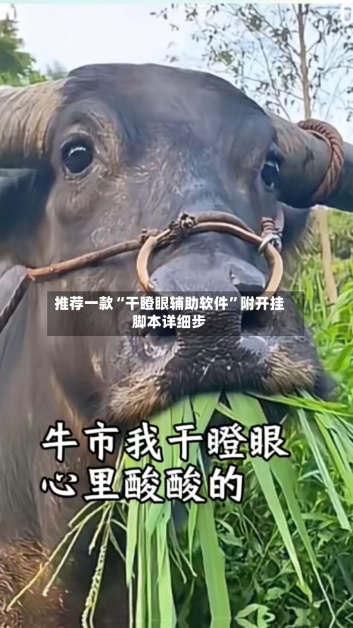 推荐一款“干瞪眼辅助软件”附开挂脚本详细步