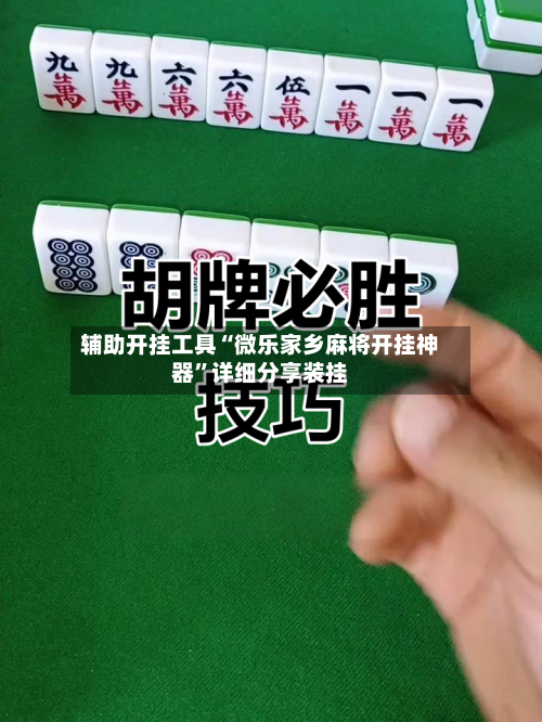 辅助开挂工具“微乐家乡麻将开挂神器”详细分享装挂