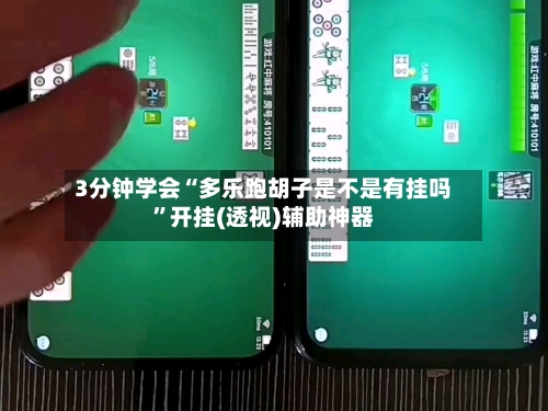 3分钟学会“多乐跑胡子是不是有挂吗”开挂(透视)辅助神器-第2张图片